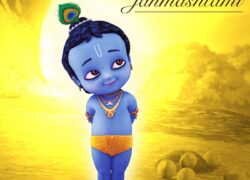 Sri Krishna Janmashtami Diety Seva